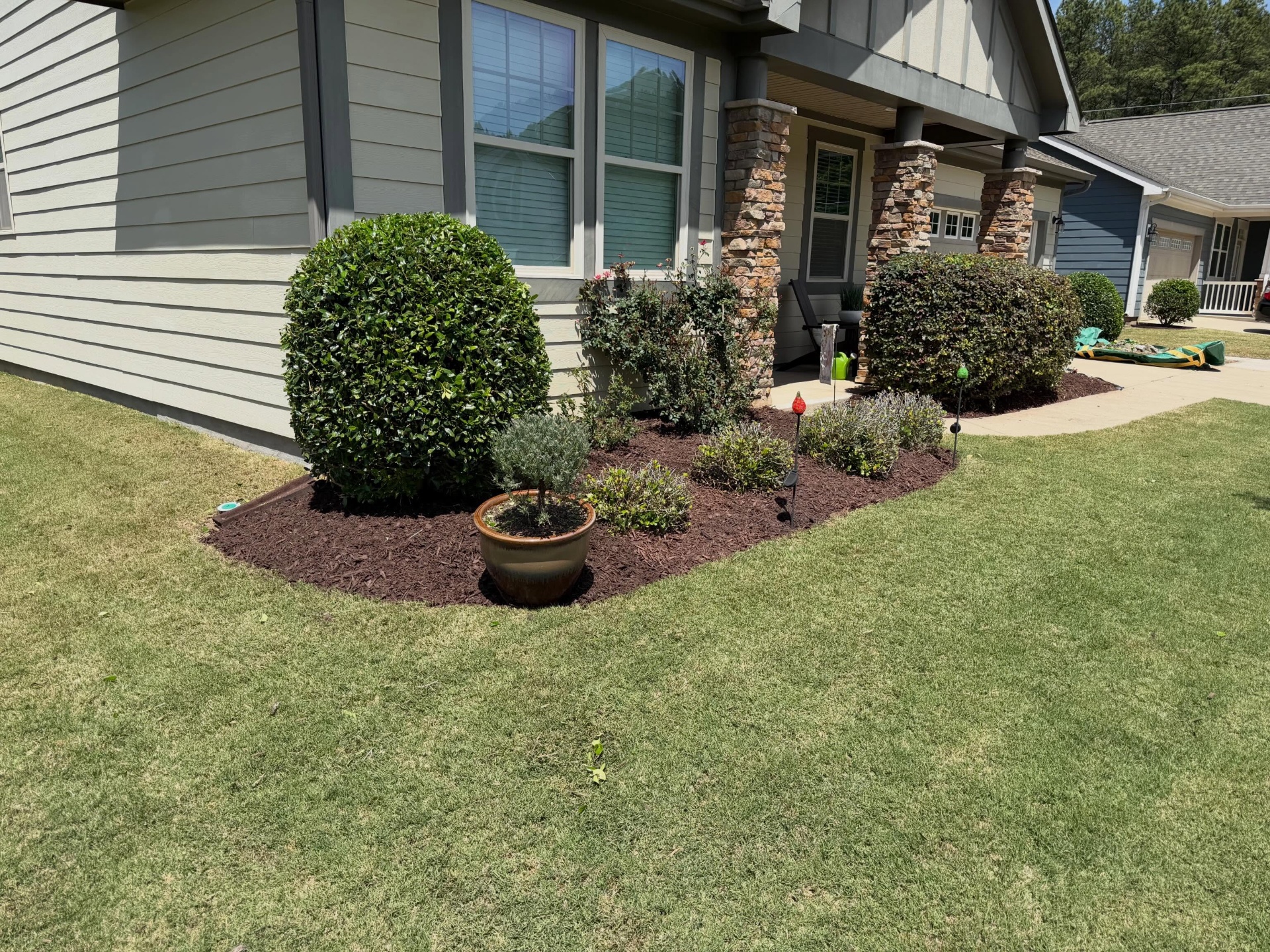 Yard Cleanups