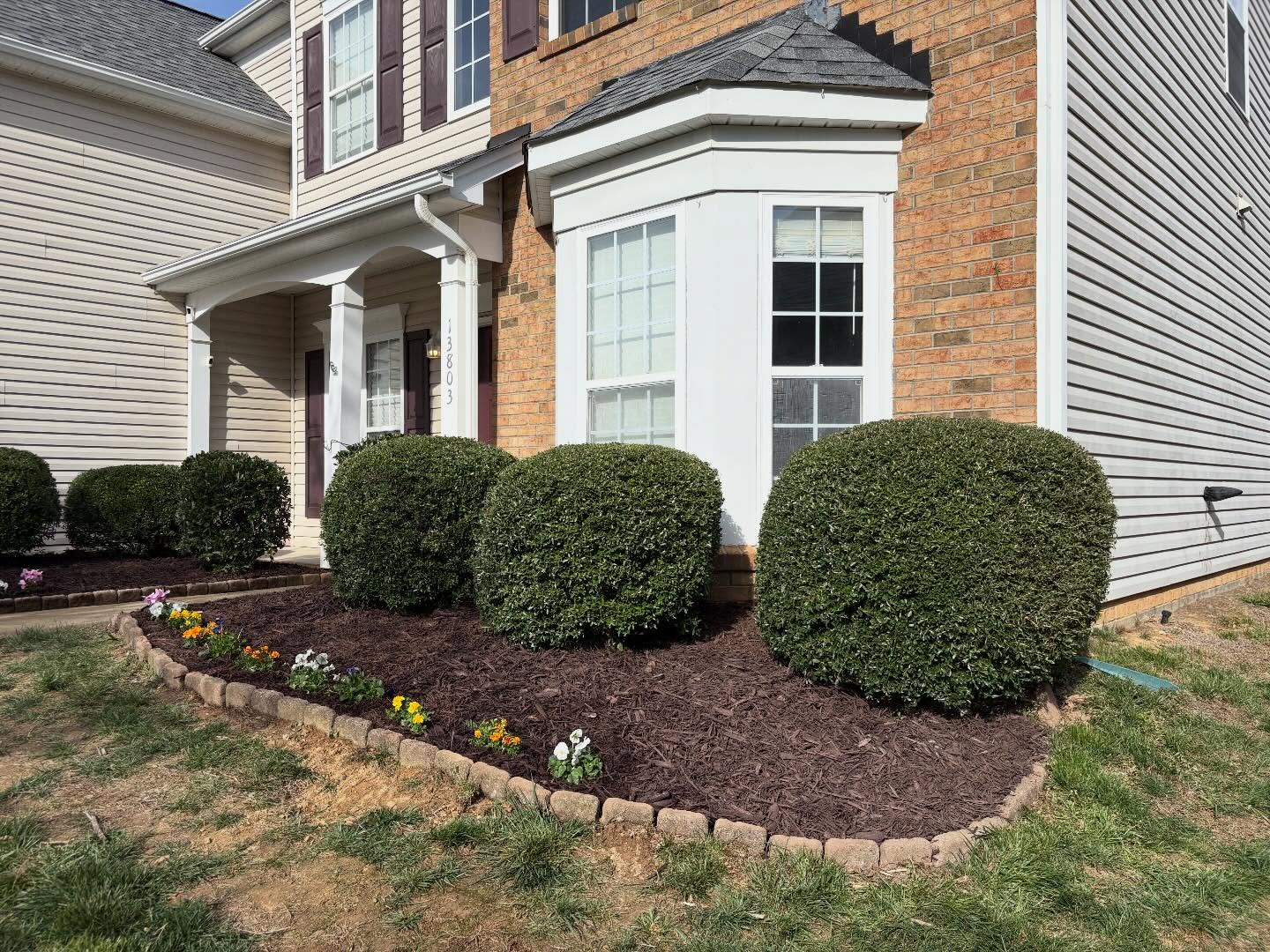 Shrub & Bush Trimming